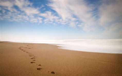 10 Best Footprints In The Sand Wallpaper FULL HD 1080p For PC Desktop ...