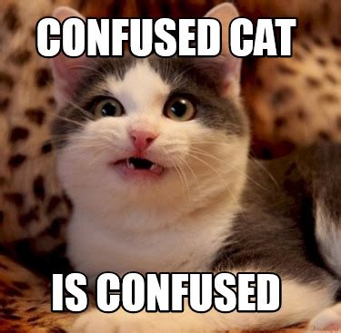 Meme Creator - Funny Confused cat Is Confused Meme Generator at MemeCreator.org!