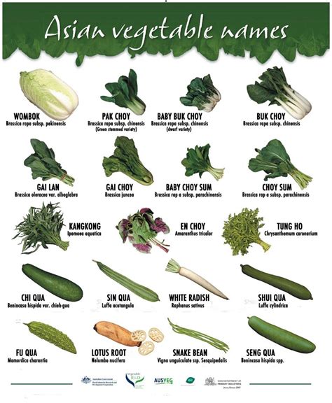 Wok with Seven Seas: A Quick Guide To Identifying Chinese Vegetables