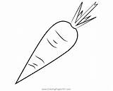 Carrot Coloring Page For Kids  Free Carrots Printable Pages sketch template