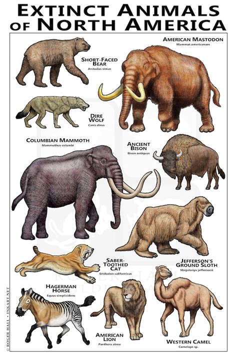 Extinct Animals of North America Poster - Etsy