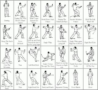 An Introduction to 24 Posture Yang Tai Chi | Tai chi qigong, Tai chi moves, Tai chi movements