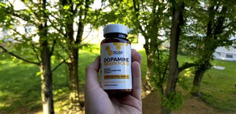 DOPAMINE Brain Food Review: Does It Boost [Your Performance]?