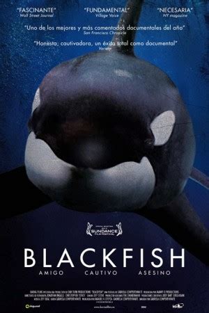 Blackfish (2013) | Watch Free Documentary - Docur