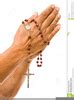 Praying Hands With Rosary Clipart | Free Images at Clker.com - vector clip art online, royalty ...
