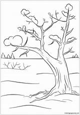 Winter Tree Coloring Pages  For sketch template