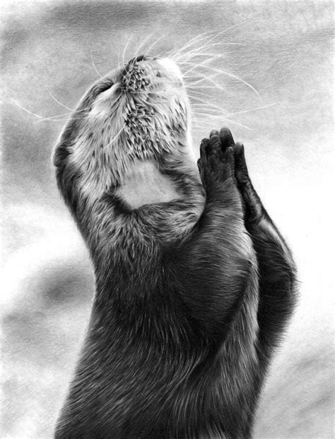 OTTER PENCIL DRAWING, by Artist Sophie Lawson