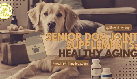 Senior Dog Joint Supplements: Healthy Aging - Life With My Dogs