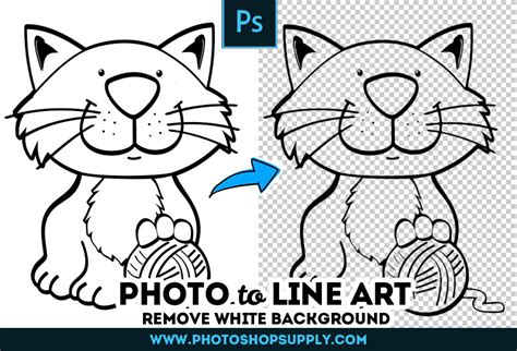 [FREE ] Line Art Photoshop Tutorial & Action