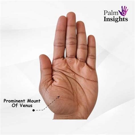 Mount Of Venus In Palmistry: A Quick And Easy Guide!