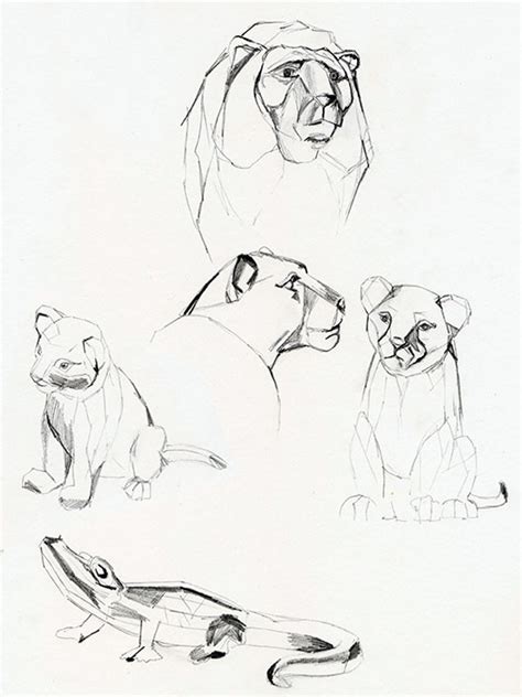 Lion Family Drawing at GetDrawings | Free download