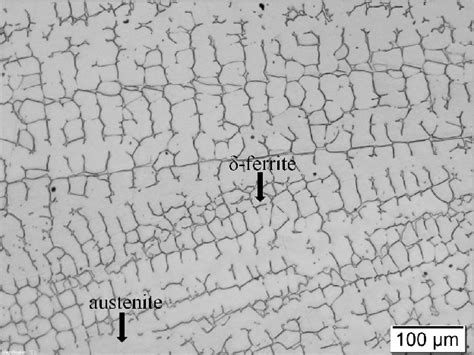 shows a LM image of the microstructure of pure austenitic stainless... | Download Scientific Diagram