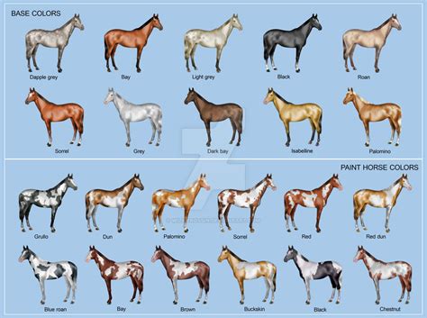 Horse color chart by willierossin on DeviantArt