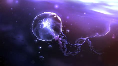 Glowing Jellyfish Wallpapers - Wallpaper Cave