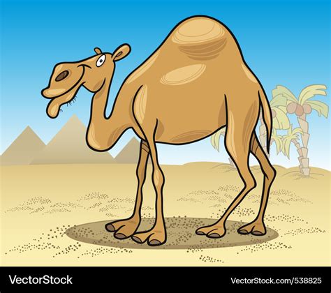 Cartoon illustration of dromedary camel on desert Vector Image