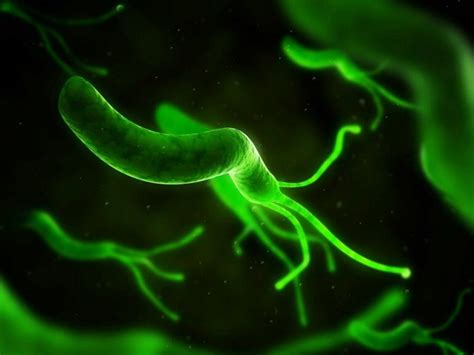 Side Effects of H pylori Eradication Therapies Are Generally Mild, Have Little Effect on ...