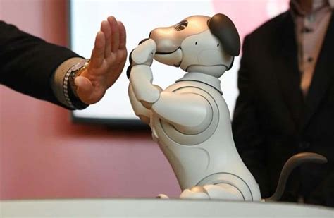 Old dog, new tricks: Sony unleashes 'intelligent' robot pet