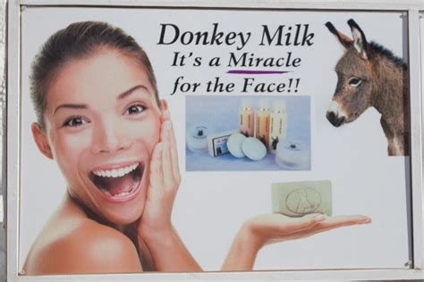 Donkey milk. This milk is said to be curative and many people swear by it. However, to date ...