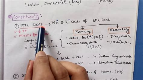 Bile composition and Function|| Revision Series|| Basic Sciences - YouTube