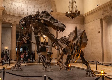 Tourists by the Dinosaur Skeletons at the Natural History Museum of Los ...