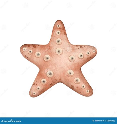 Cute Starfish in Coral Orange Color on Isolated Background. Underwater Animal Stock Illustration ...