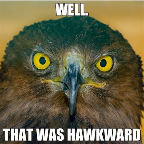 WELL. THAT WAS HAWKWARD - hawk - quickmeme