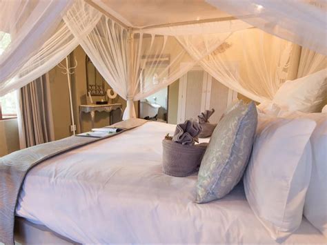 Kambaku Safari Lodge Timbavati | Special Deals and Offers Book Now!