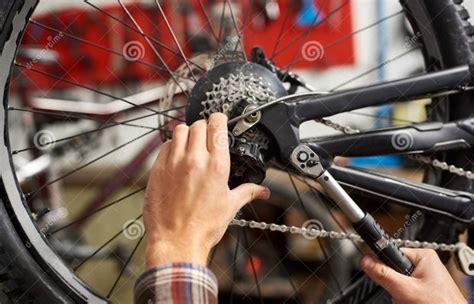 Bike repair shop near me | best bicycles in Dubai - The Shard Bike