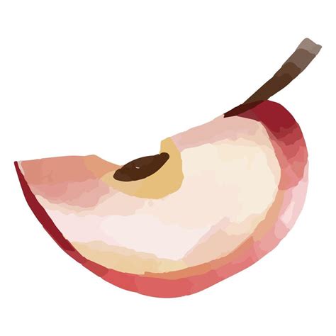 Red Apple Slice Watercolor 20317937 Vector Art at Vecteezy