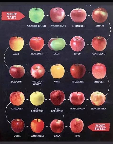 Apples | Food charts, Food, Food hacks