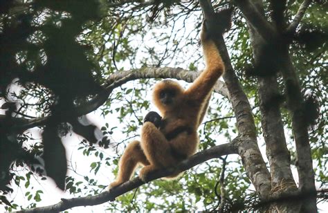 Hainan park aims to protect ecology