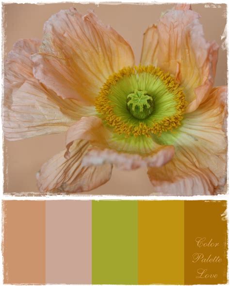 Colour Schemes, Color Trends, Color Combos, Colour Palettes, Paint ...