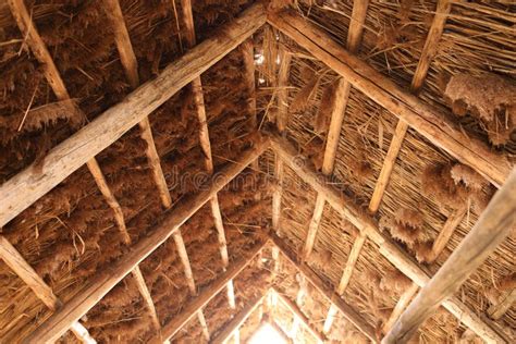 The Reed Roof on the House. Natural Building Materials.Texture of Old Thatched Roof from the ...