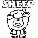 Coloring Pages Sheep  Home sketch template