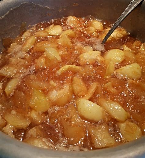 Apple Pie With Canned Apples | Treat Dreams