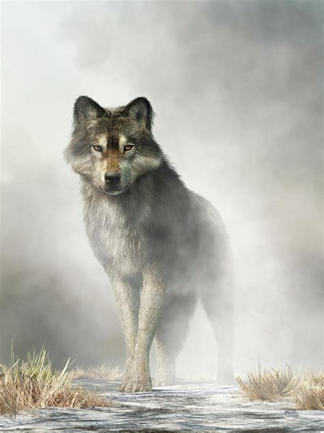 Gray Wolf in Fog Digital Art by Daniel Eskridge - Pixels