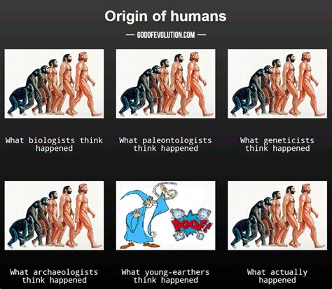 Different Views on Human Origins