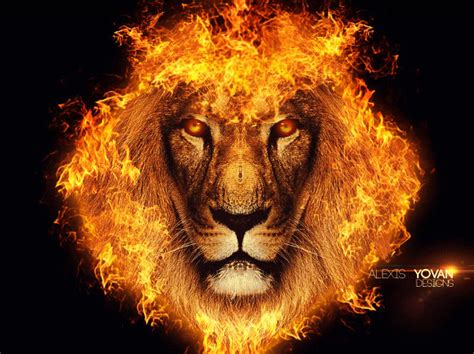 The fire lion by DesignsAlex on DeviantArt