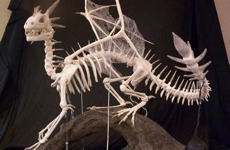 Dragon Skeleton | Dragon skeleton, Dragon fossil, Dragon anatomy