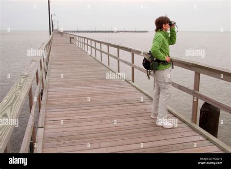 Aransas Bay fishing pier, Goose Island State Park, Texas Stock Photo - Alamy