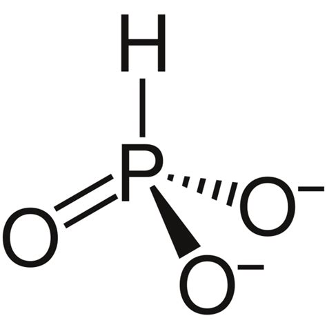 Phosphites InfoTech – Cibon