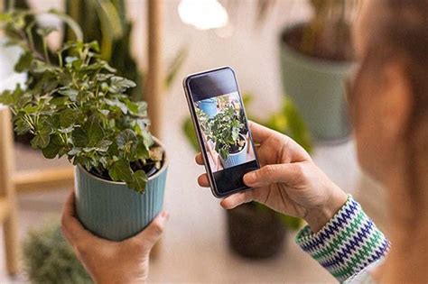 Use this app to help your plants thrive and grow