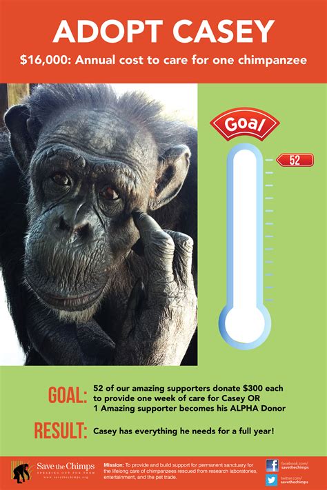 Support Casey - Limited Edition Adoption Packet | Save the Chimps