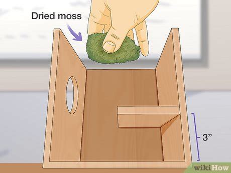 How to Build a Squirrel House: 14 Steps (with Pictures) - wikiHow