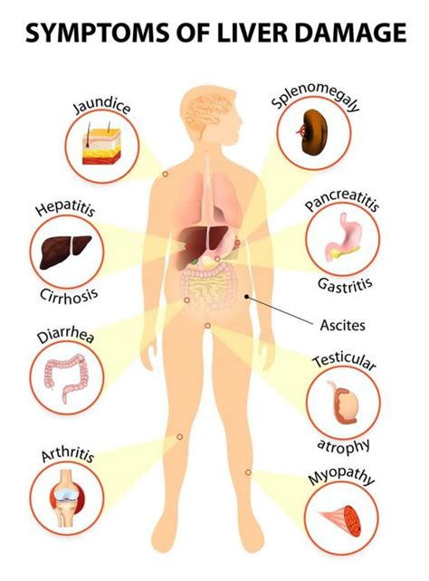 Liver Damage - 7 Important Signs of Liver Damage | A2ZHealthy.com