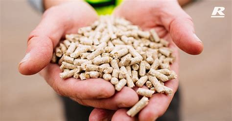 Feed Pellets Versus Feed Crushed Grain | Reid Stockfeeds