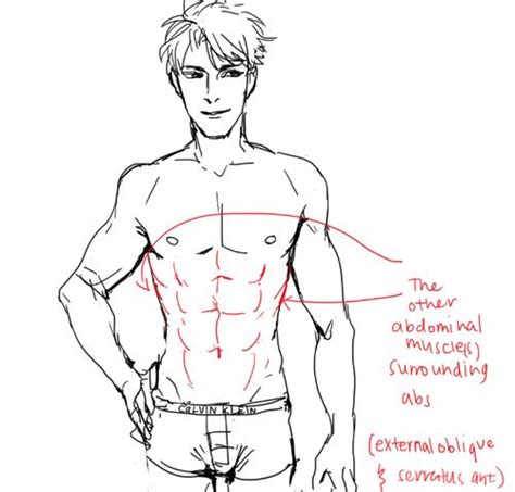 Art References | How to draw abs, Art reference, Drawings