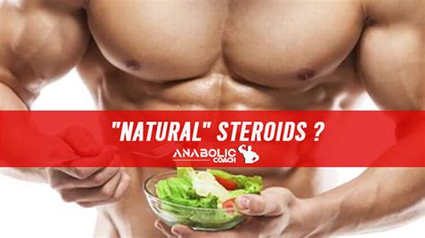 An Overview of Natural Steroids | Anabolic Steroids