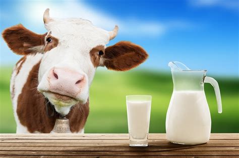 Dairy-Free Benefits: Top 10 Reasons People Go Dairy Free