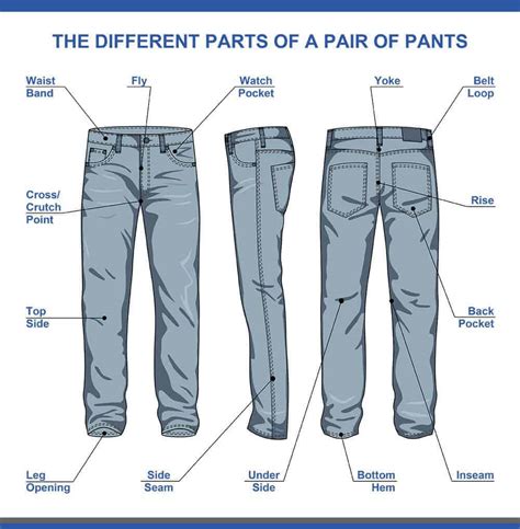 50 Different Types of Pants for Women and Men (Epic List) - ThreadCurve